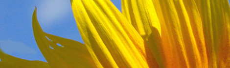 Belleza Natural con flores
