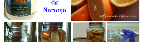 Limpiador de Vinagre Natural {Házlo Tú Misma}