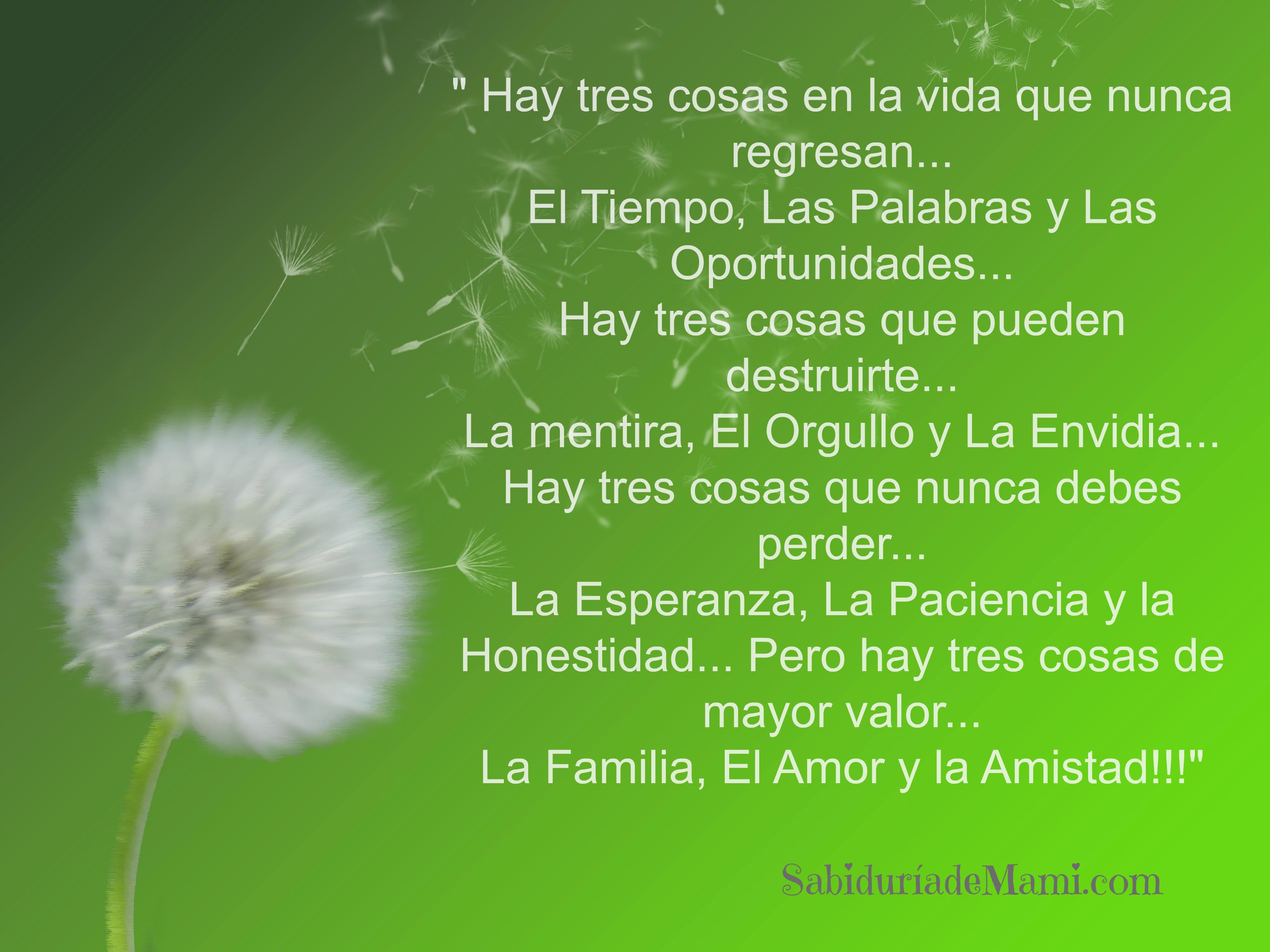 hay 3 cosas en la vida sabiduría de mami