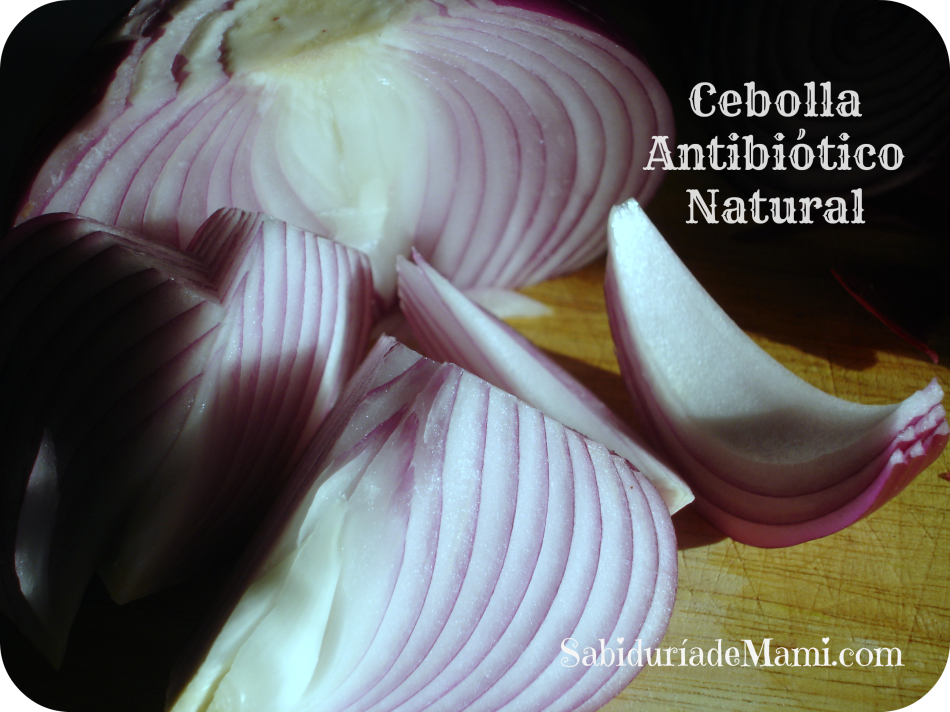 Cebolla Antibiotico natural